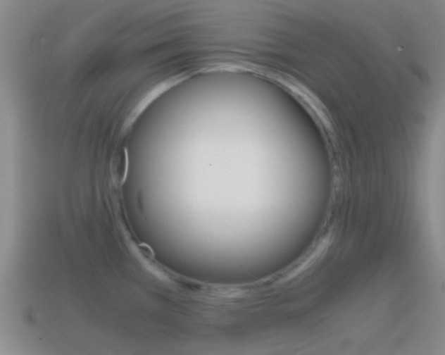 X0000114701385200910211000