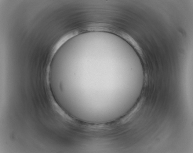 X0000114701386200910211000