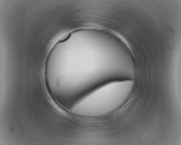 X0000114701387200910211000