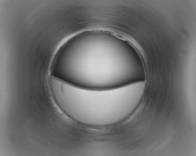X0000114701388200910211000