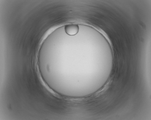 X0000114701389200910211000