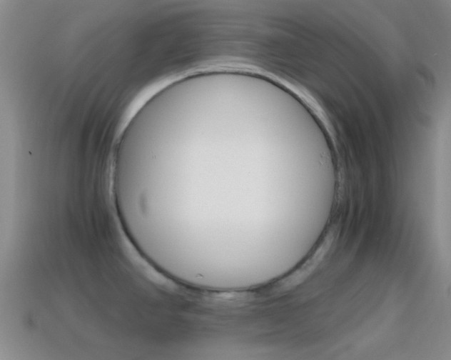 X0000114701390200910211000