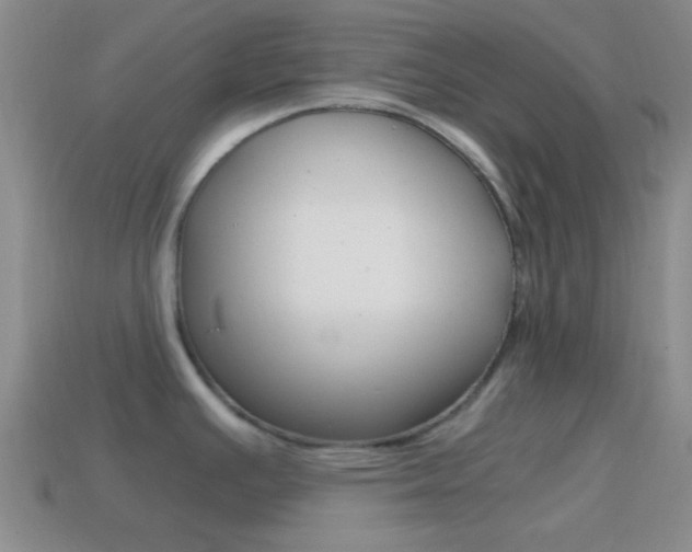 X0000114701391200910211000