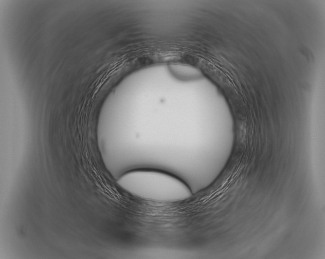 X0000114701393200910210959
