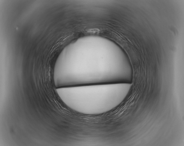 X0000114701394200910210959