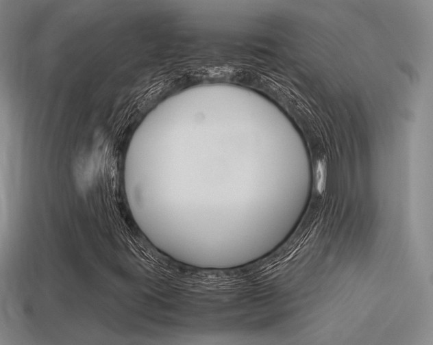 X0000114701395200910210959