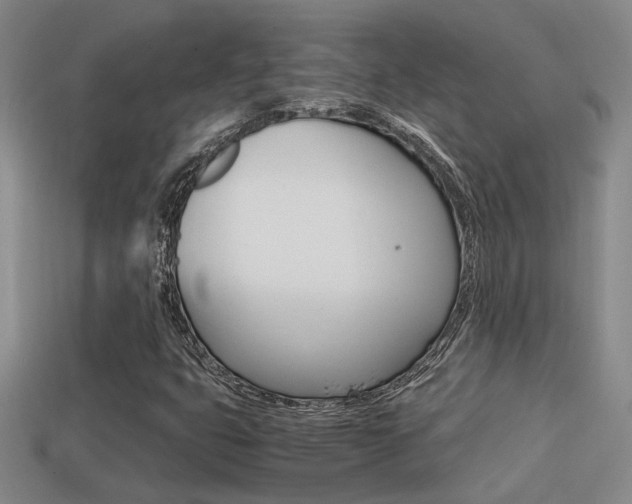 X0000114701399200910210959