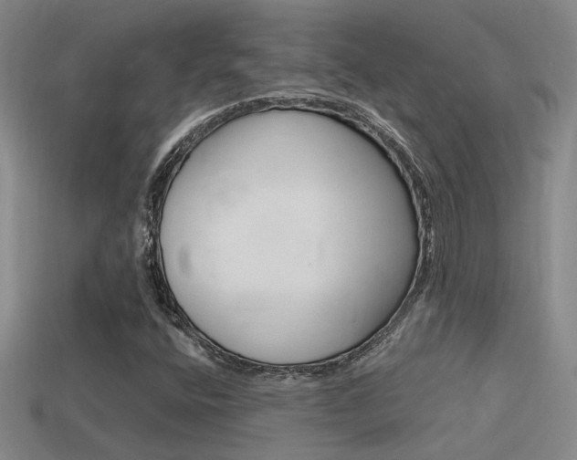 X0000114701400200910210959