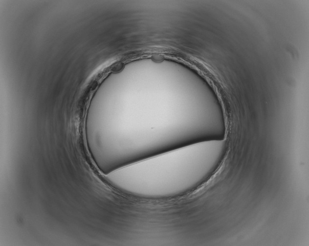 X0000114701402200910210959