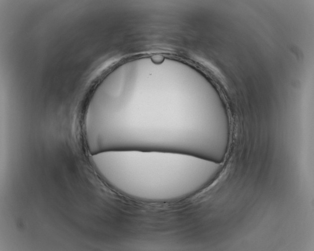 X0000114701407200910210959