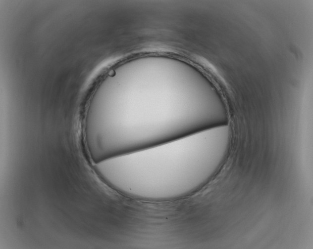 X0000114701408200910210959