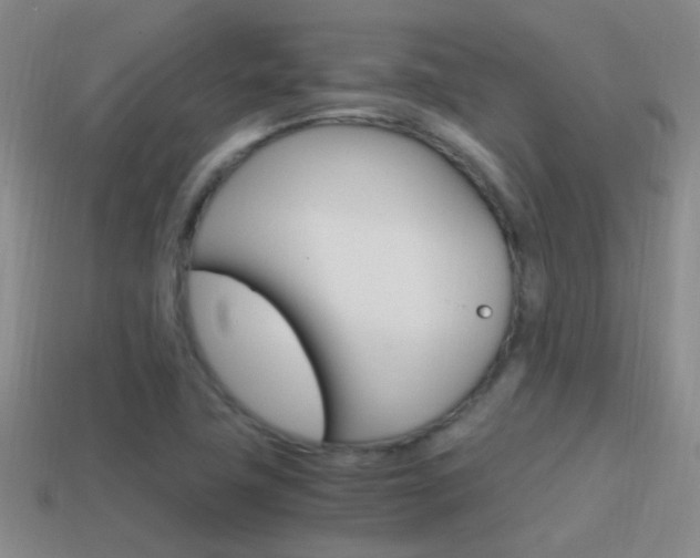 X0000114701411200910210959
