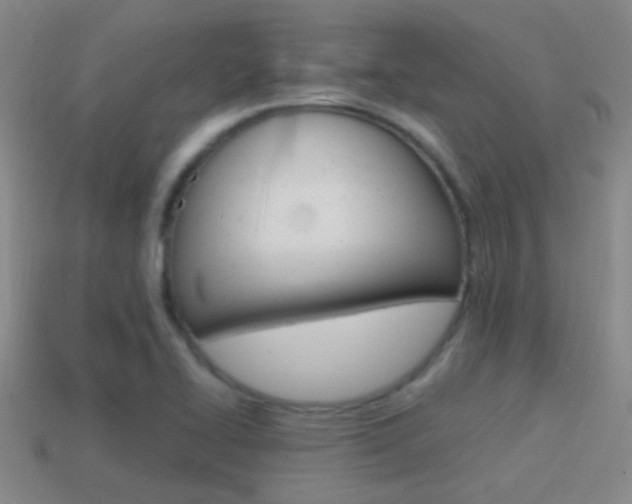 X0000114701414200910210959
