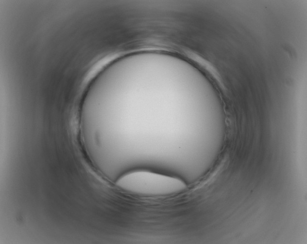 X0000114701415200910210959