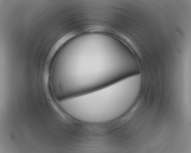X0000114701418200910210959