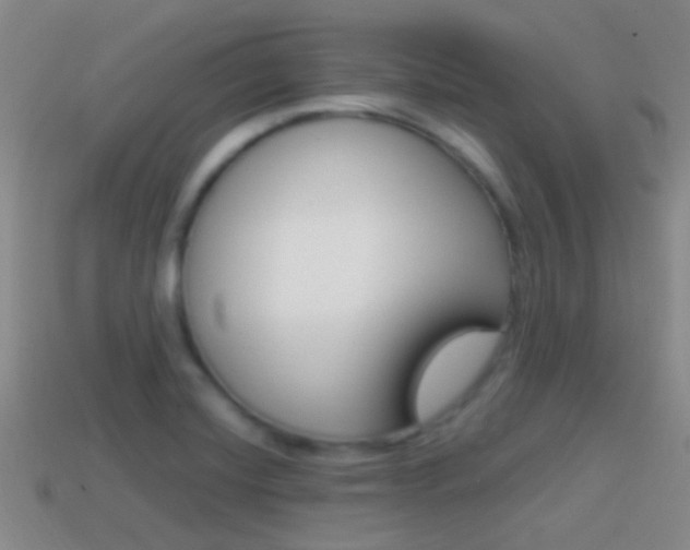 X0000114701420200910210959