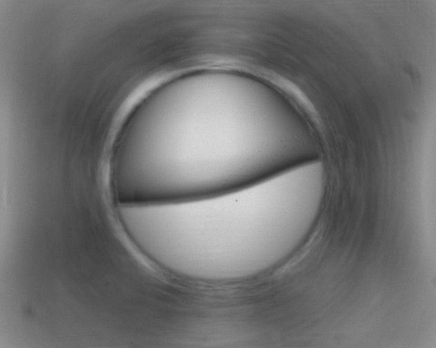 X0000114701424200910210959