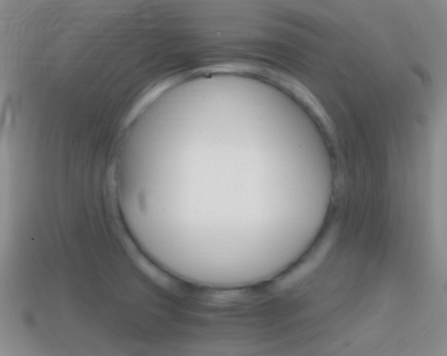 X0000114701425200910210959
