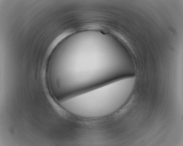 X0000114701426200910210959