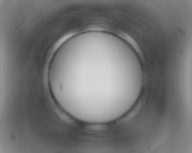 X0000114701427200910210959