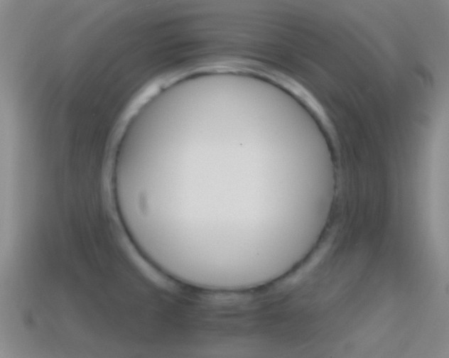 X0000114701429200910210959