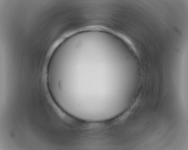 X0000114701430200910210959