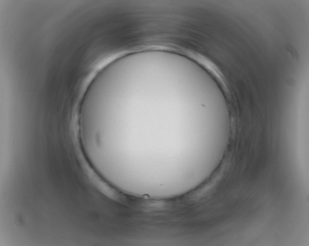 X0000114701431200910210959