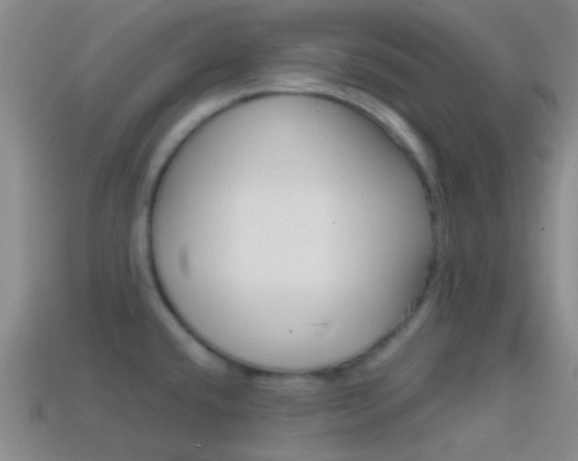 X0000114701432200910210959