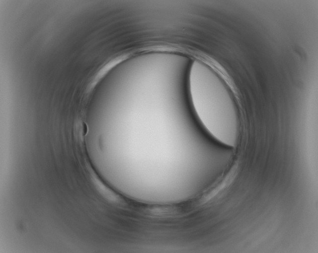 X0000114701433200910210959