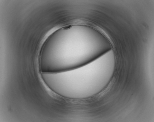 X0000114701434200910210959