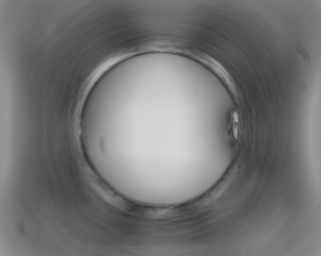 X0000114701435200910210959
