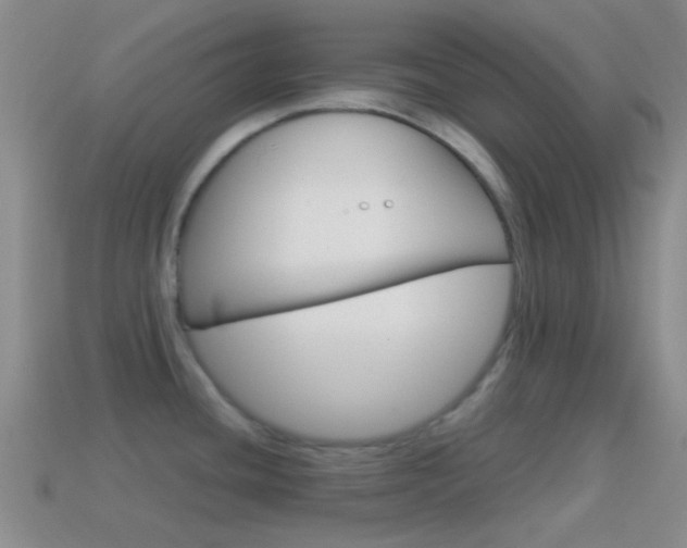 X0000114701436200910210959