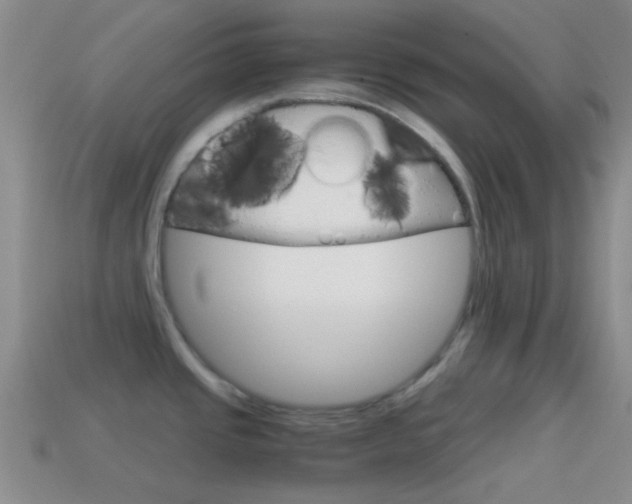 X0000114701437200910210959