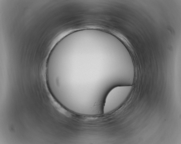 X0000114701439200910210959