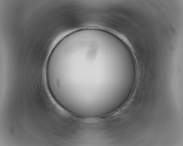 X0000114701440200910210959