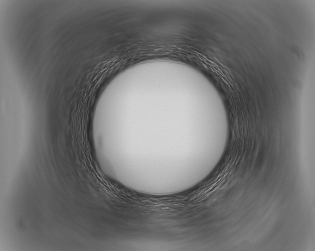 X0000114701441200910210959