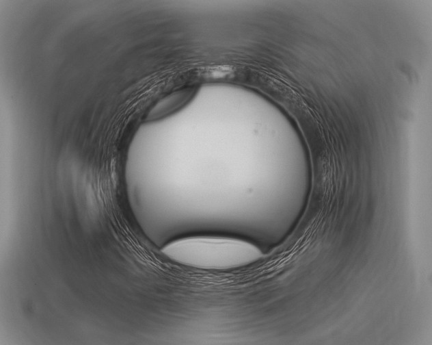 X0000114701442200910210959