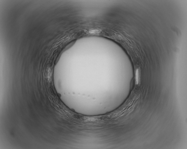 X0000114701443200910210959