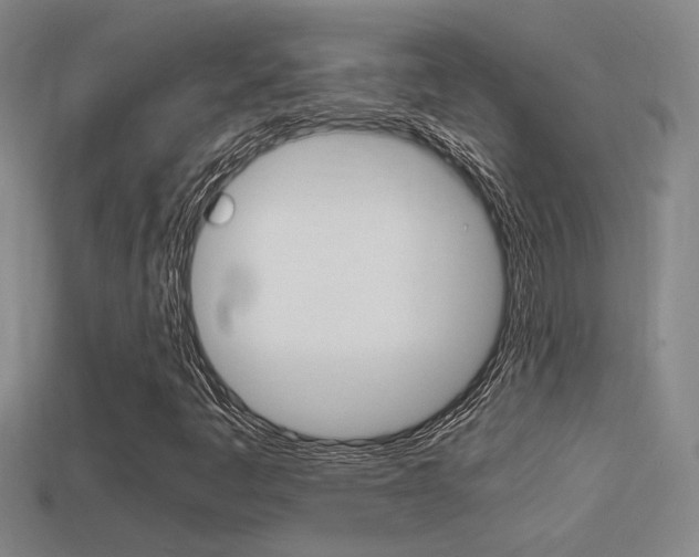 X0000114701445200910210959