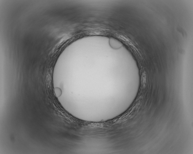 X0000114701446200910210959