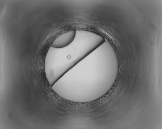 X0000114701447200910210959