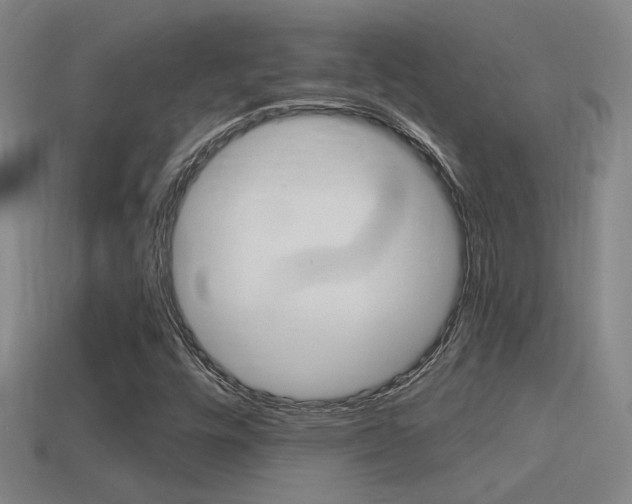 X0000114701448200910210959