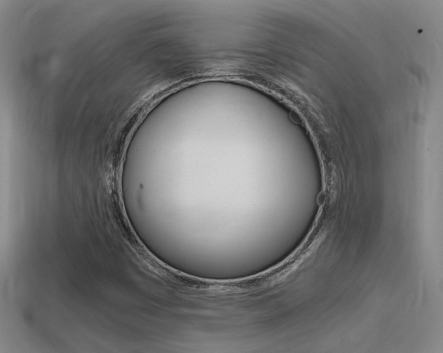 X0000114701449200910210959
