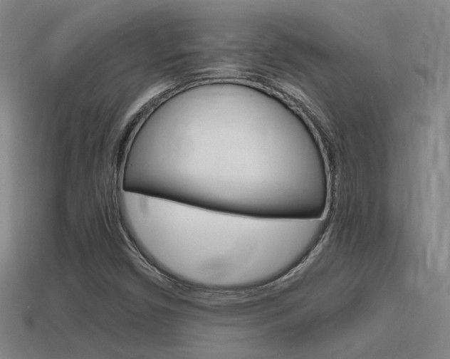 X0000114701450200910210959