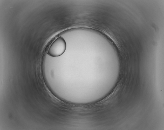 X0000114701452200910210959