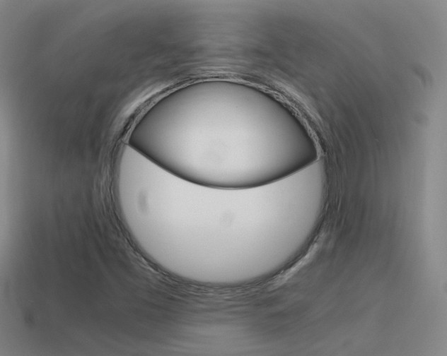 X0000114701453200910210959