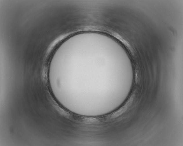 X0000114701454200910210959