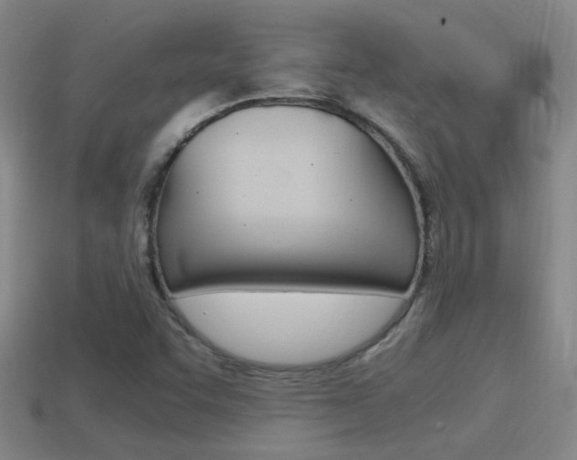 X0000114701455200910210959