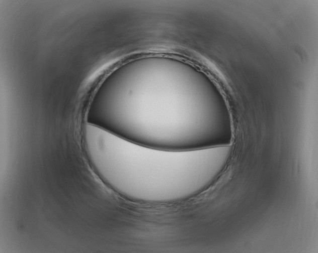 X0000114701456200910210959