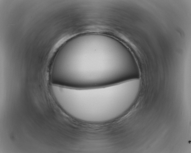 X0000114701459200910210959
